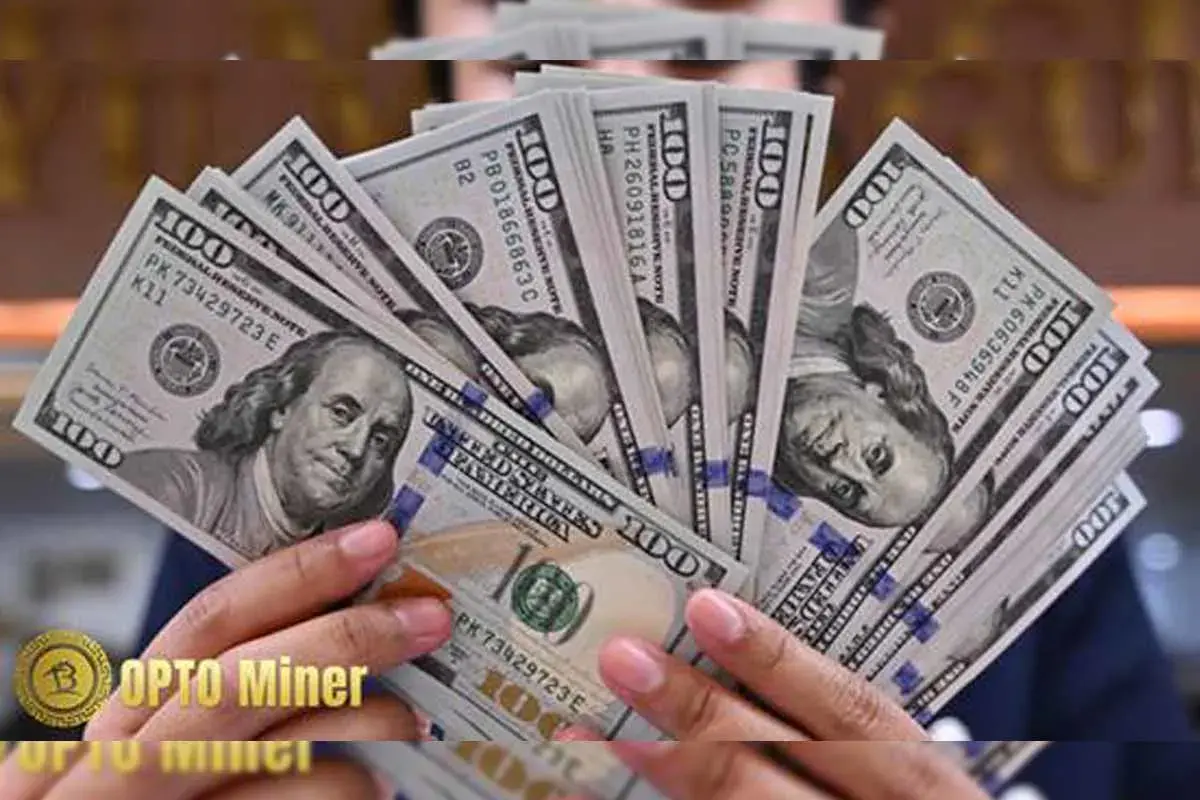 Earn Without Doing Anything — OPTO Miner Reveals Its  Income Hack