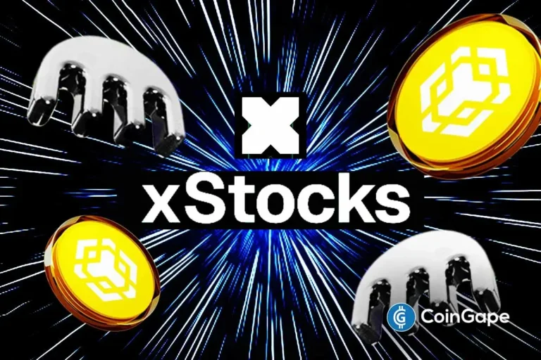 An image containing Kraken, Binance Chain and xstocks logo