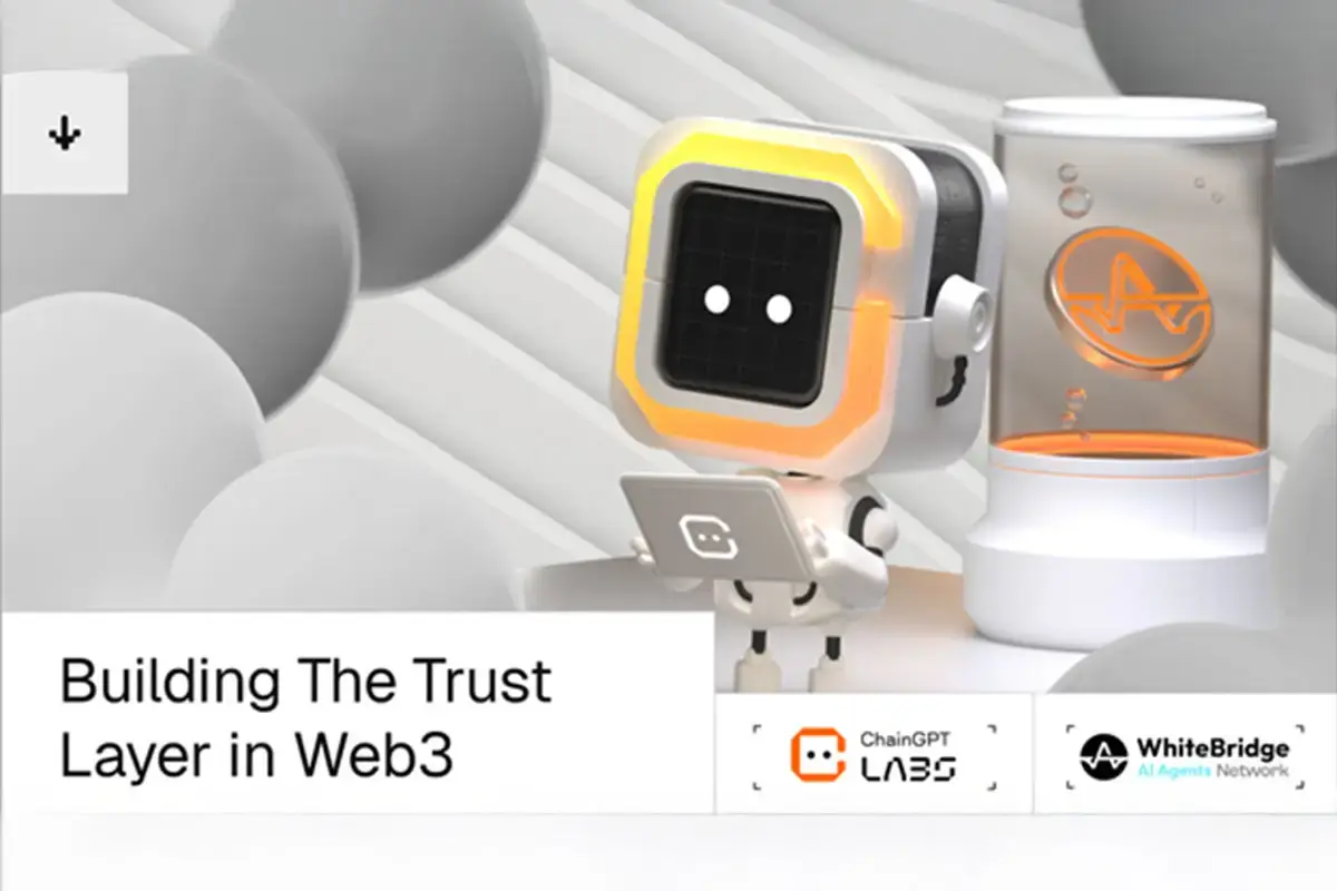 WhiteBridge Selected for BNB Chain