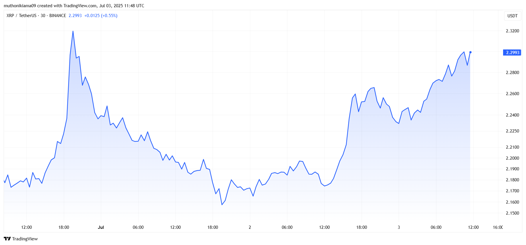XRP Price Gains as Ripple Applied for Banking License
