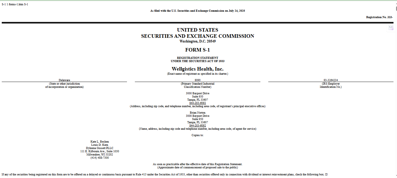 Wellgistics Health S-1 Filing