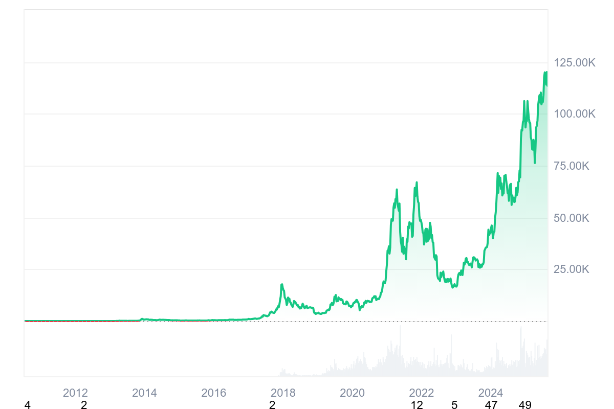 Bitcoin price over the yeat