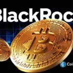 BlackRock's Robert Mitchnick Says Bitcoin's Macro Case Is Getting Stronger