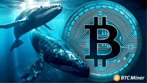 BTC Miner Whales