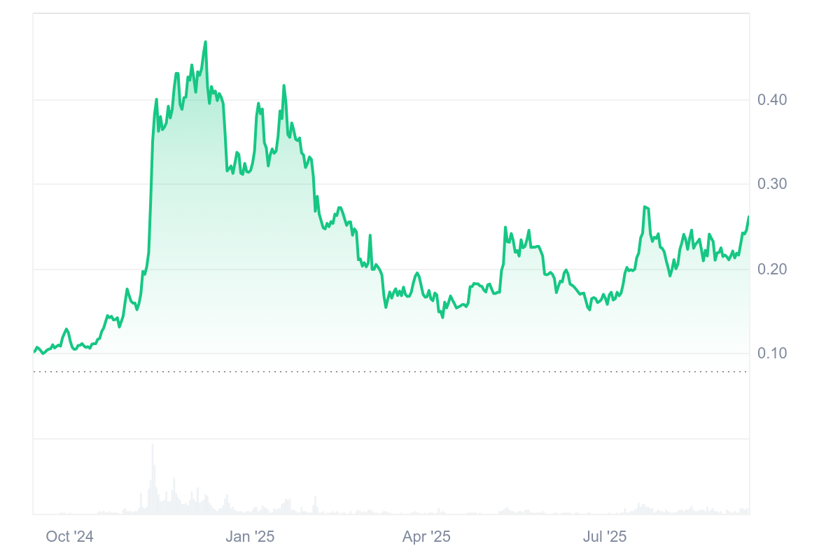 Dogecoin price chart showcasing its year long performance