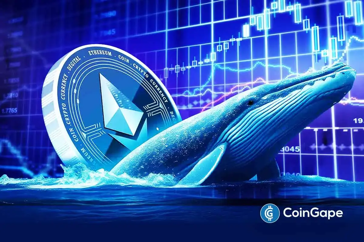 Is Ethereum Price Set for a rebound as Whale accumulation Intensifies?