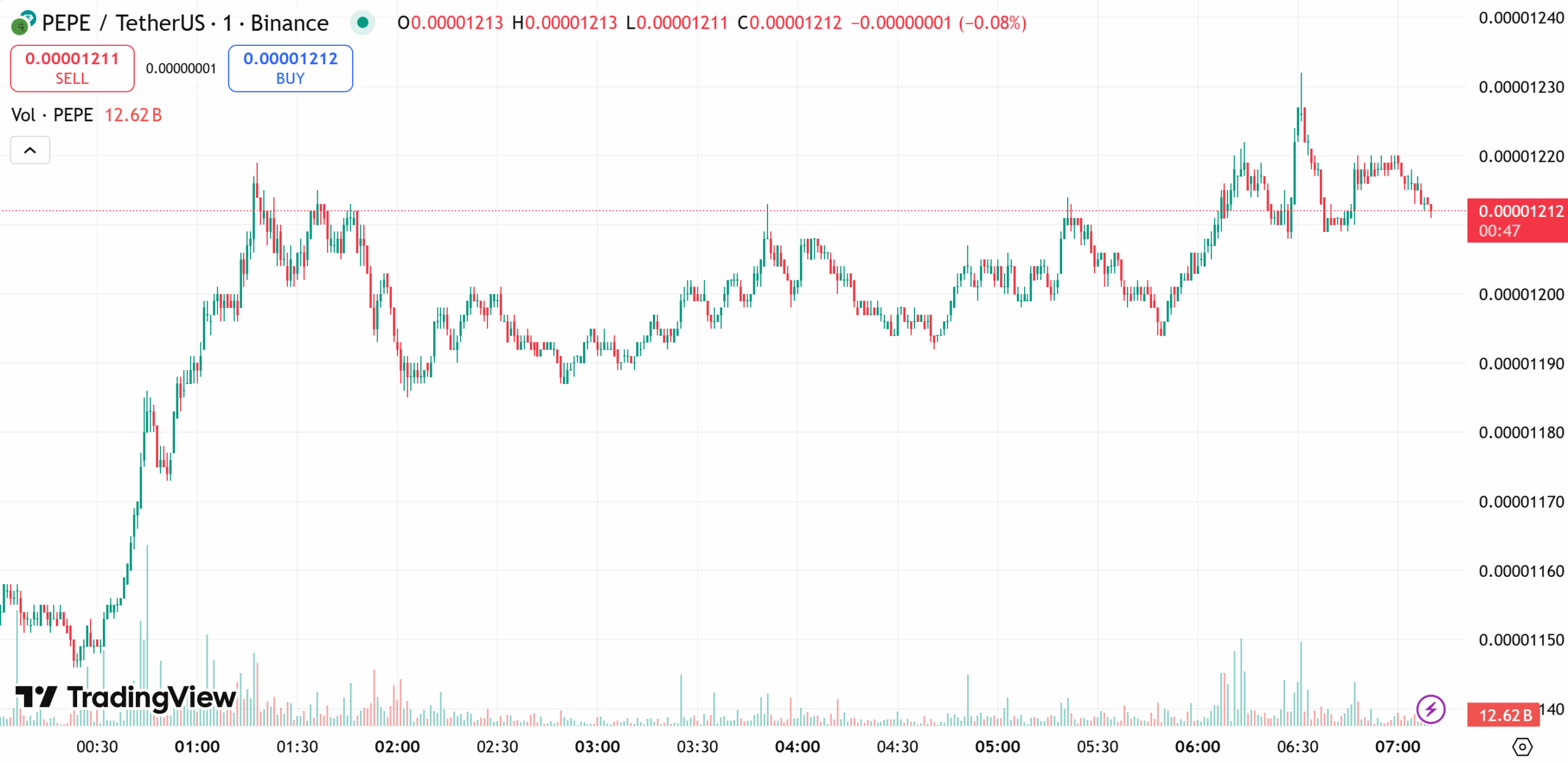 Pepe Coin One-Day Price Chart 