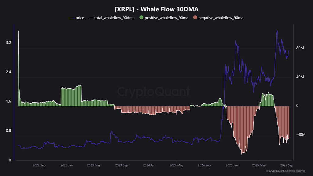 XRP Whale Flow