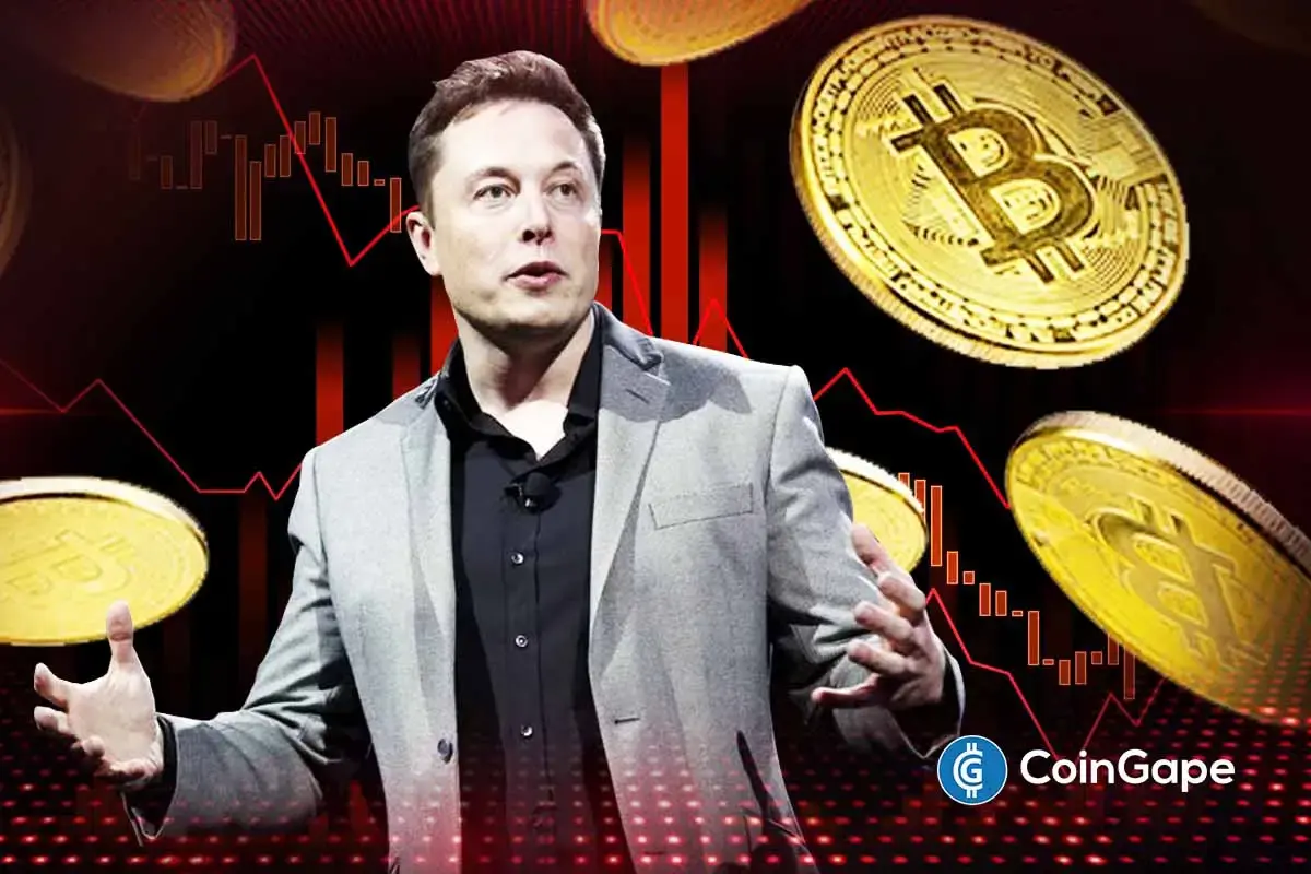 Elon Musk Endorses Bitcoin Again After Years Amid Crypto Bloodbath