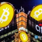 Citi Tops Global IPO Underwriting, Overtakes Goldman Sachs After SpaceX, SK Hynix, NSE Listings