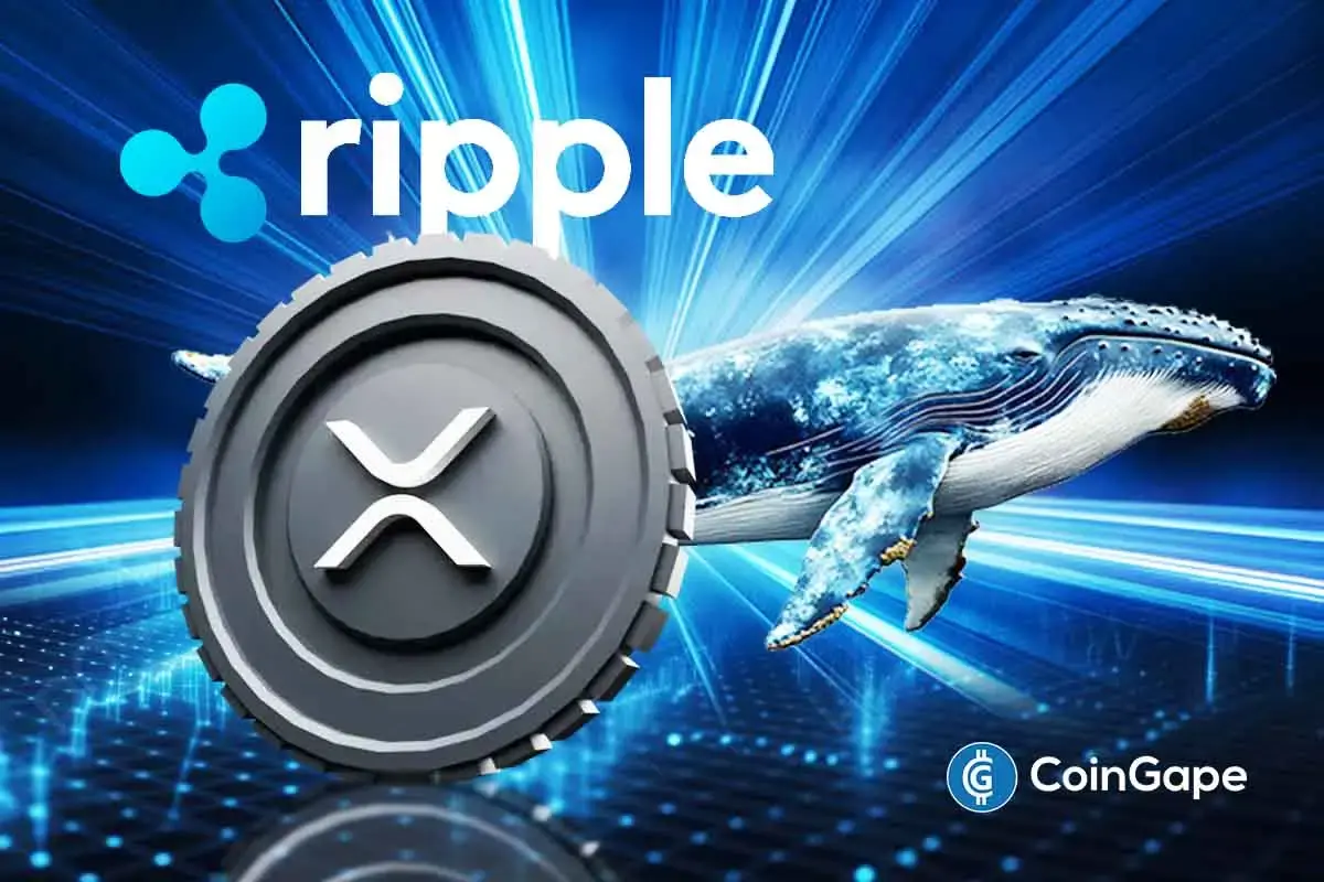 Whale Dumps Massive $55 Million in XRP to Ripple as Coin Falls Below $3