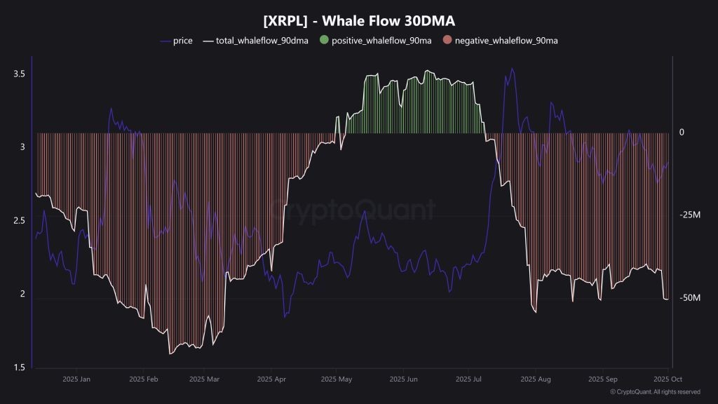 XRP Whale Flow