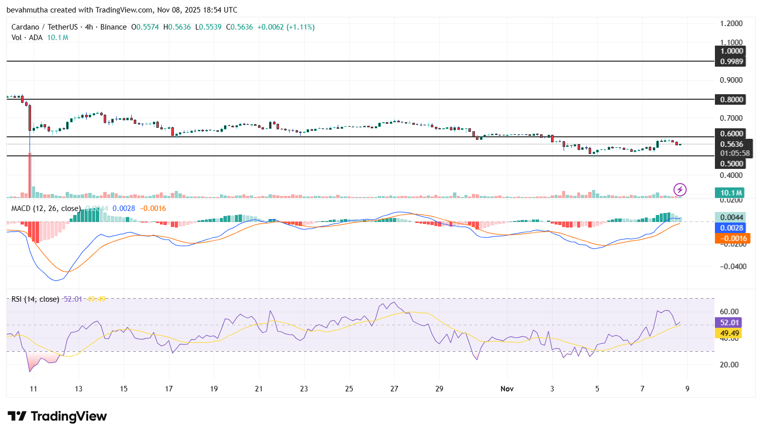 Cardano Price Soars 10% Amid Retail Accumulation: Will Bulls Target $1?