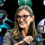 An image of Cathie Wood and crypto logos to represent the crypto market
