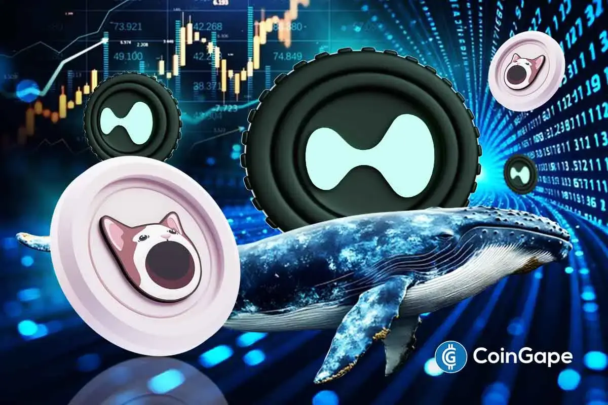 A $4.9M exploit hits Hyperliquid as a whale pumps and dumps POPCAT