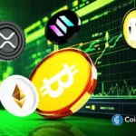 An image of Bitcoin logo and the top gainers