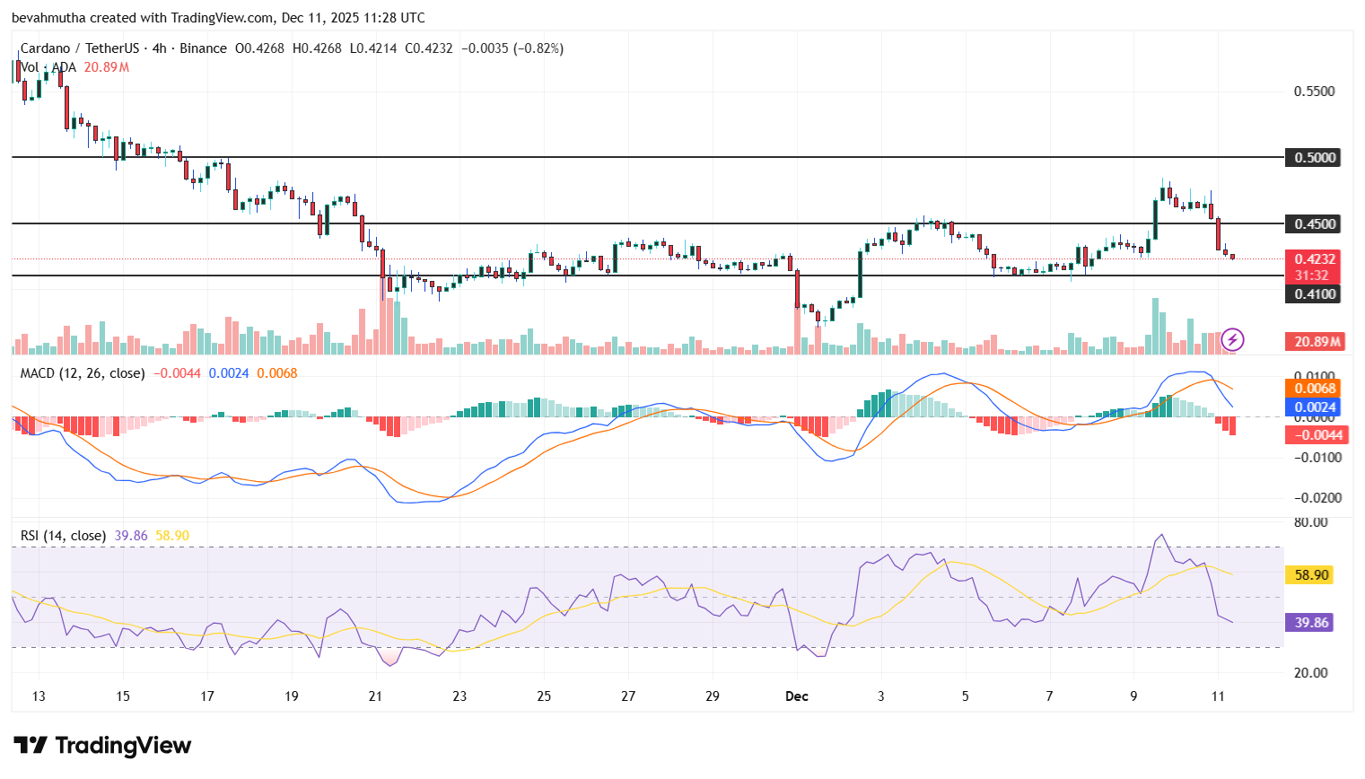 Cardano Price Dips 10% as Midnight Token Launch Turns Sour