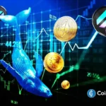 Bitcoin Whale Bets on Shorts