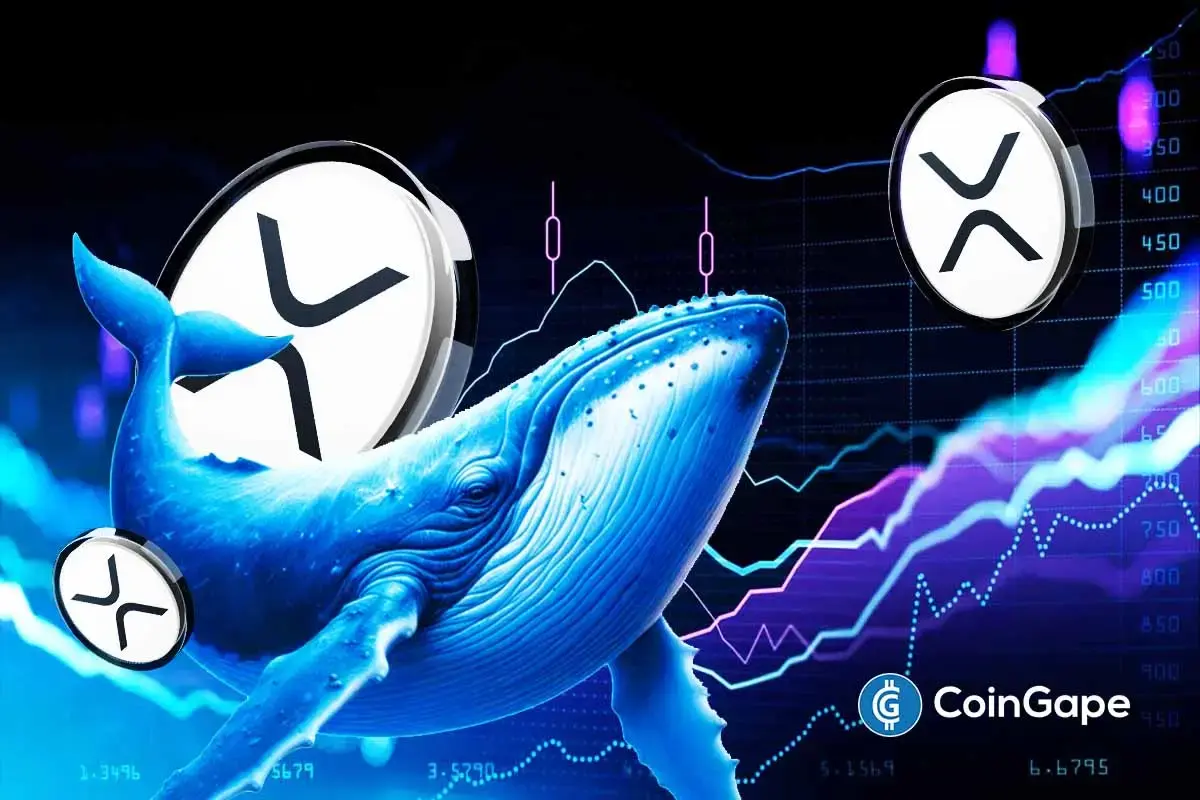 Large XRP holders reduce exposure as heavy selling activity weighs on XRP price direction.