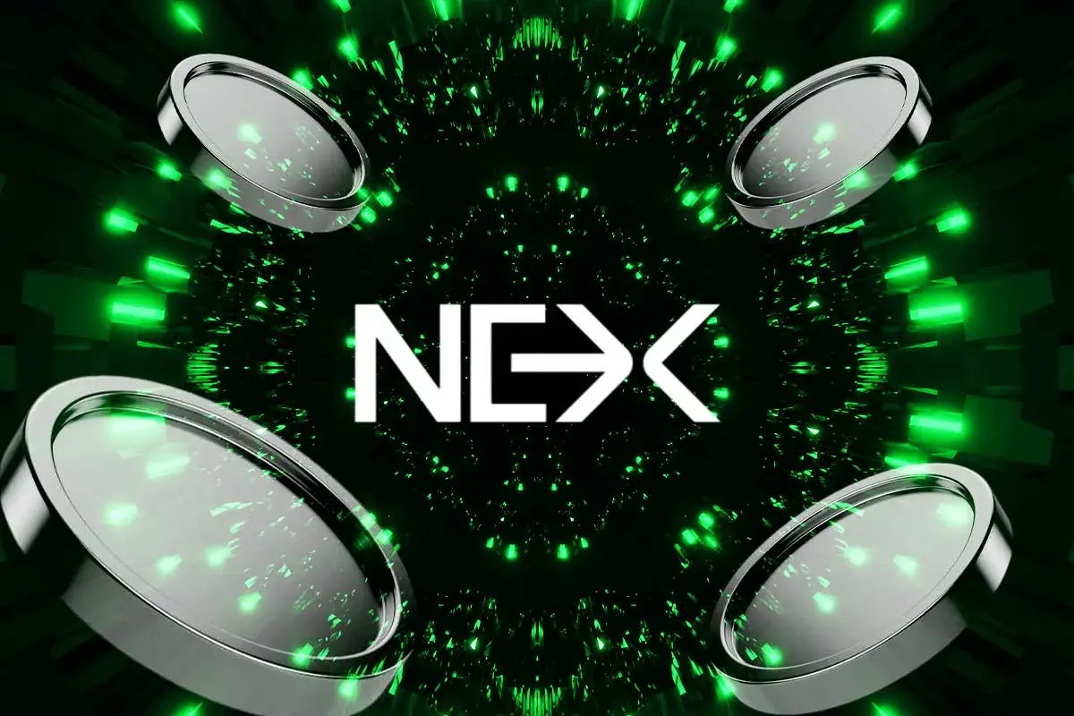 Nexchain logo image illustration