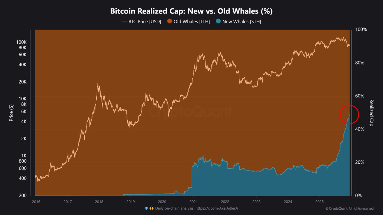 Bitcoin chart shows new whales reaching nearly 50% of realized cap as fresh capital enters BTC during price volatility