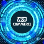 Best Crypto Payment Plugins