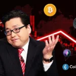 om Lee cautions that current crypto crash may only be the beginning