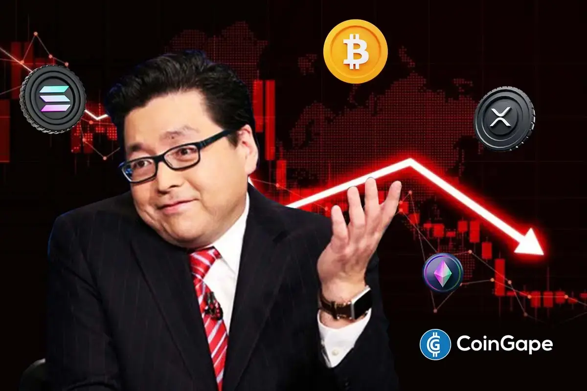om Lee cautions that current crypto crash may only be the beginning