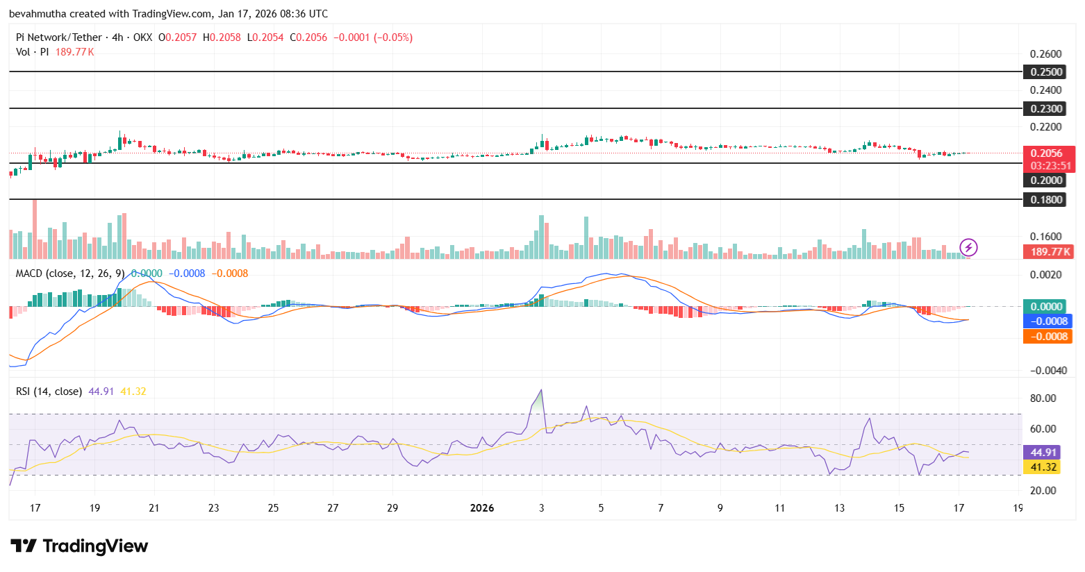 لماذا لا يرتفع سعر عملة باي؟