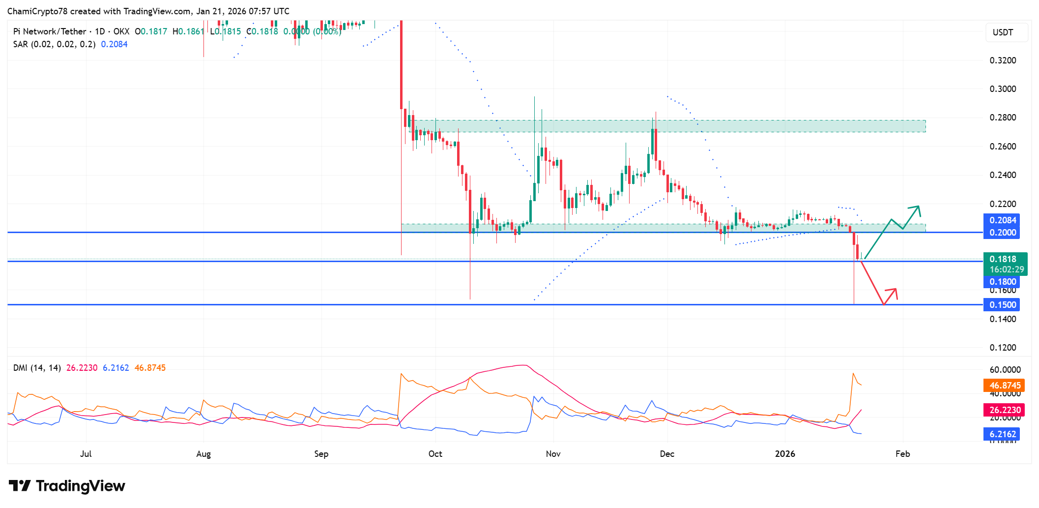 حركة سعر شبكة باي