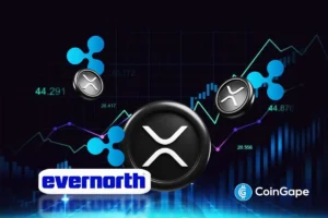 XRP News: Ripple-Backed Evernorth to Boost Liquidity and Treasury on XRPL