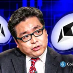 Bitmine Ethereum acquisition