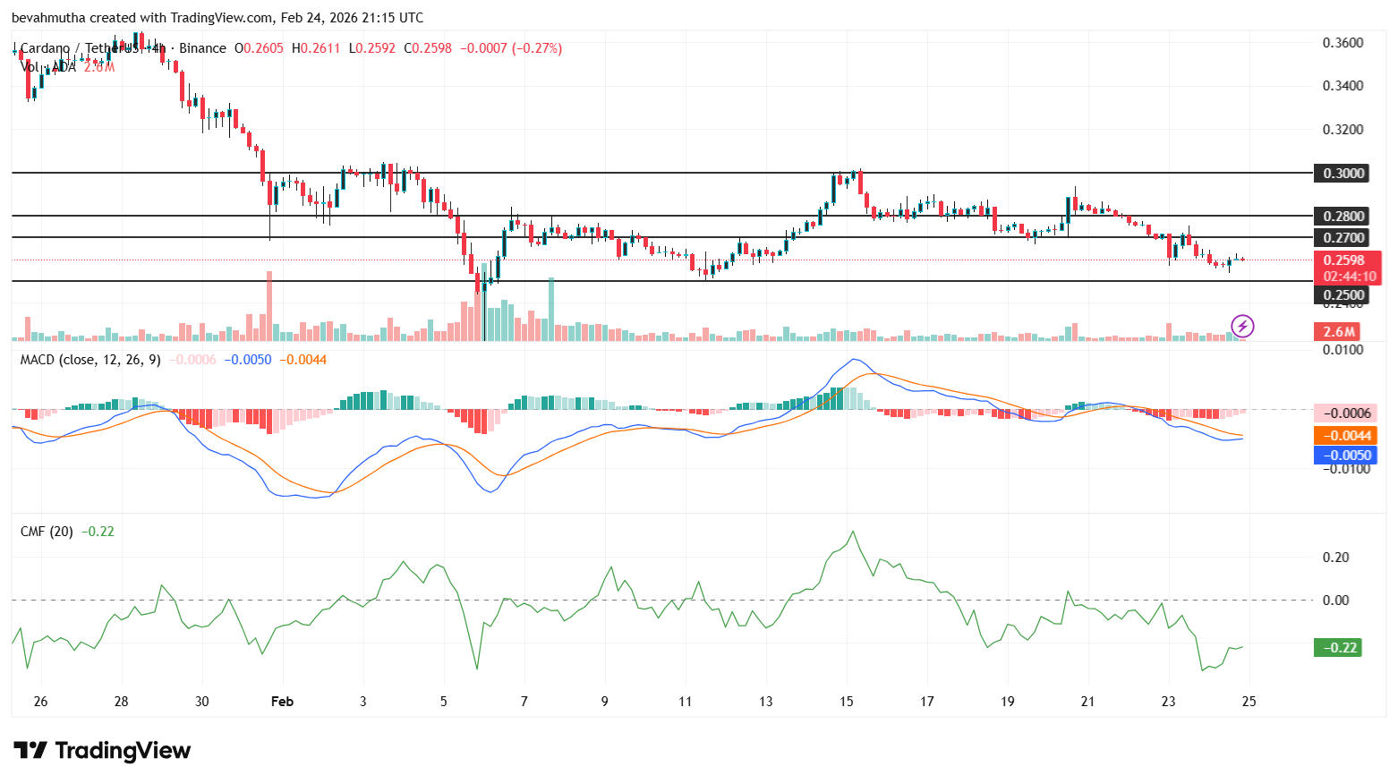 Cardano Price Signals Rebound as Whales Accumulate 819M ADA