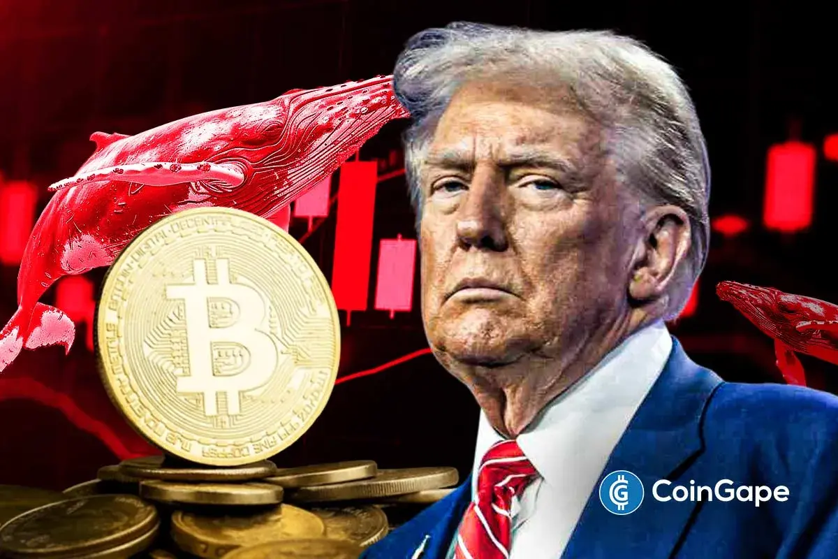 Trump insider Garrett Jin moves BTC, raising crash fears