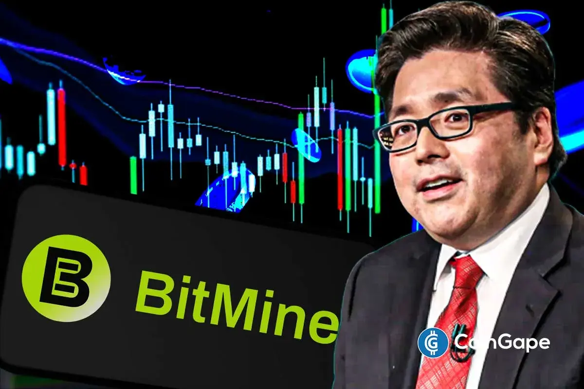 BitMine’s Tom Lee remains bullish on crypto market recovery in March