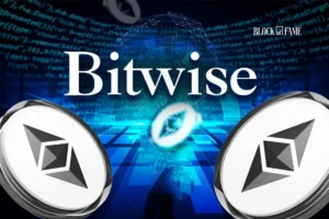 Bitwise Makes Big Grant
