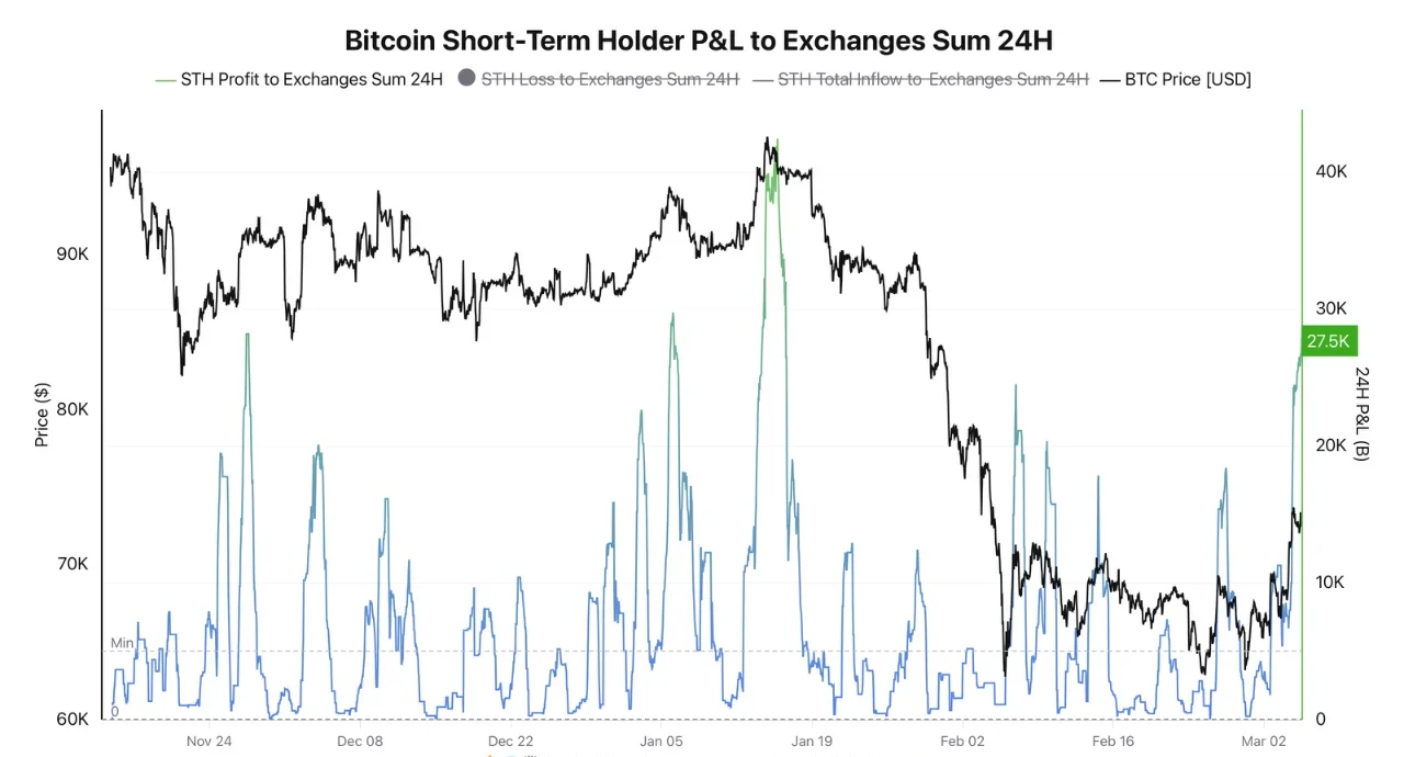 Short-Term Bitcoin Holders 