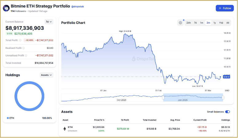 BitMine Ethereum Strategy Portfolio chart