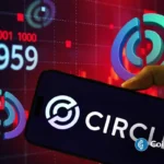 CRCL Stock Price Target Downgraded as Directors Sell Circle Shares