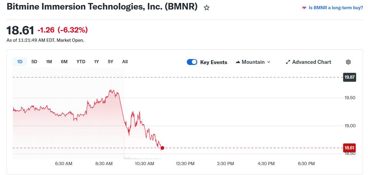 Bitmine BMNR Stock Price