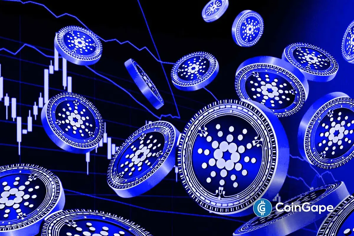 an image to represent the Cardano news