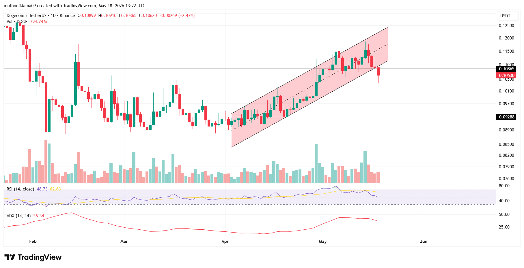 Will Dogecoin Price Rally as SpaceX Pre-IPO Trading Debuts on Hyperliquid?