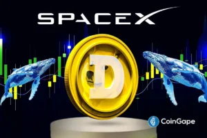 Will Dogecoin Price Rally to $0.15 as Whales Buy 525M DOGE After SpaceX IPO Filing?