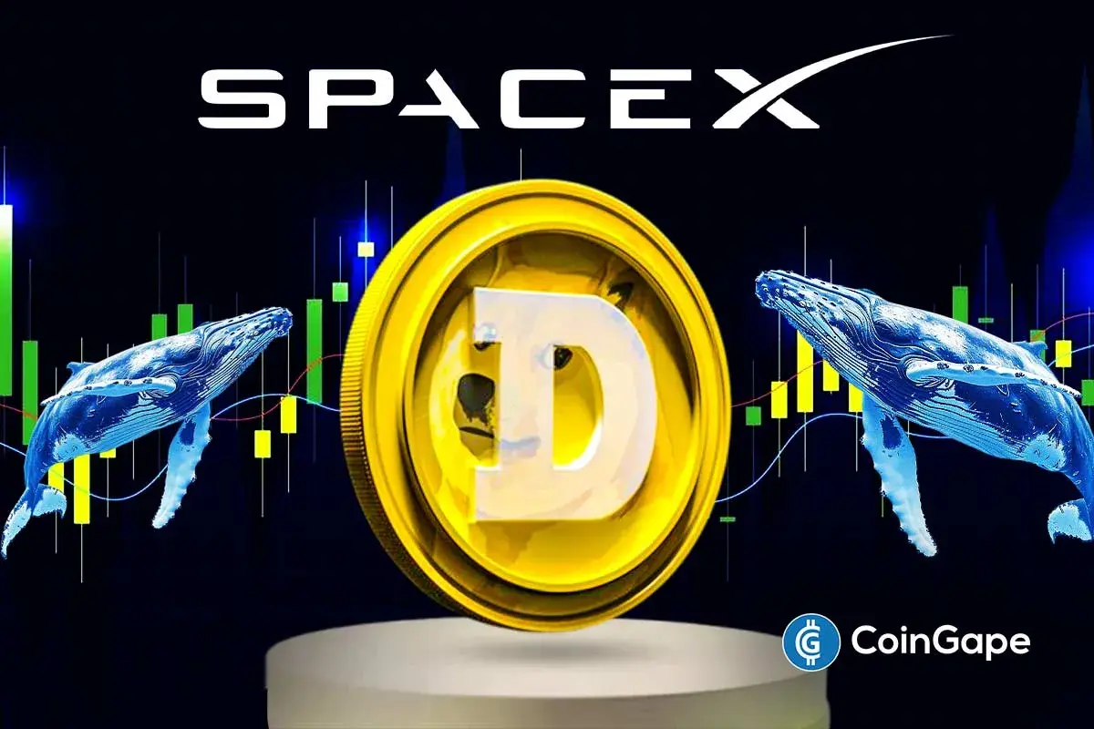Will Dogecoin Price Rally to $0.15 as Whales Buy 525M DOGE After SpaceX IPO Filing?