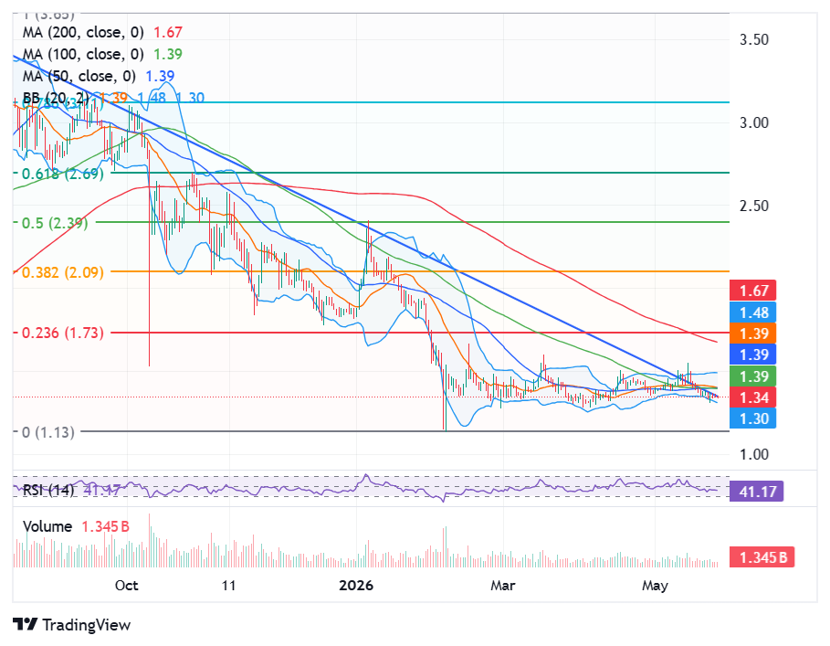 XRP Price 24 Hour Chart