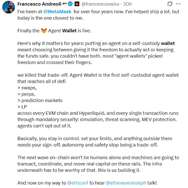 Metamask Agent Wallet