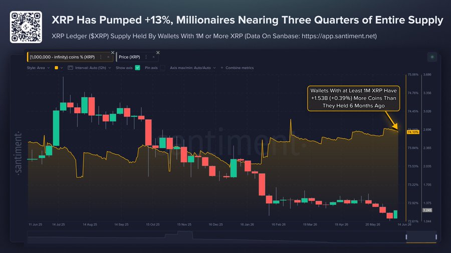 توقعات سعر XRP مع ارتفاع حيازات الحيتان