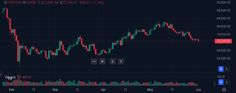 Bitcoin crypto market crash