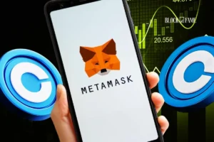 MetaMask agent wallet