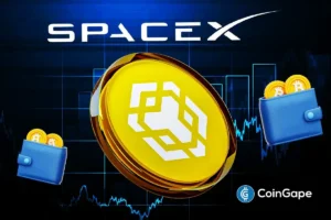 Binance Wallet’s SpaceX IPO Subscription Attracts $557M Funding